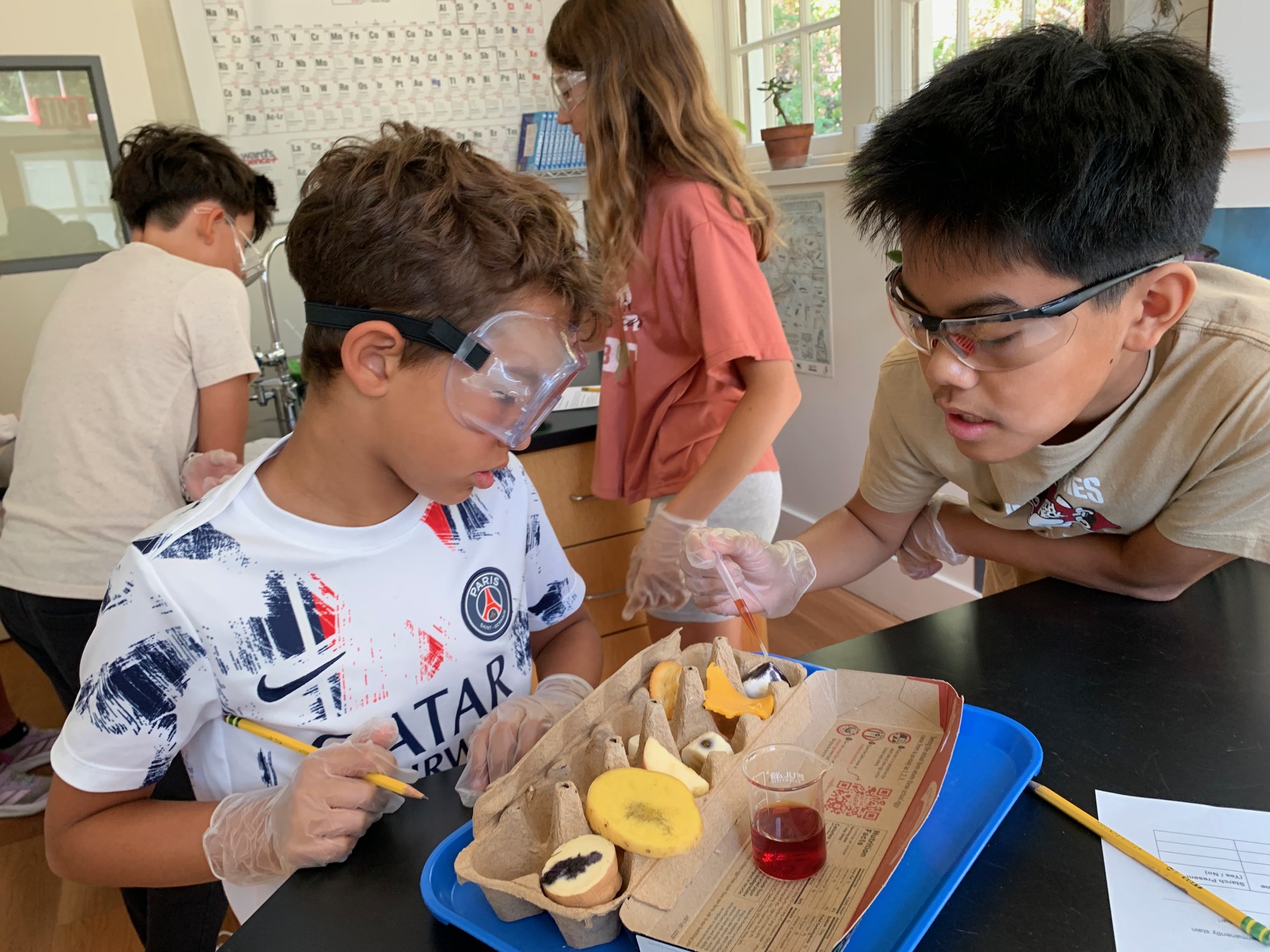 Will and Anthony in Sci Lab