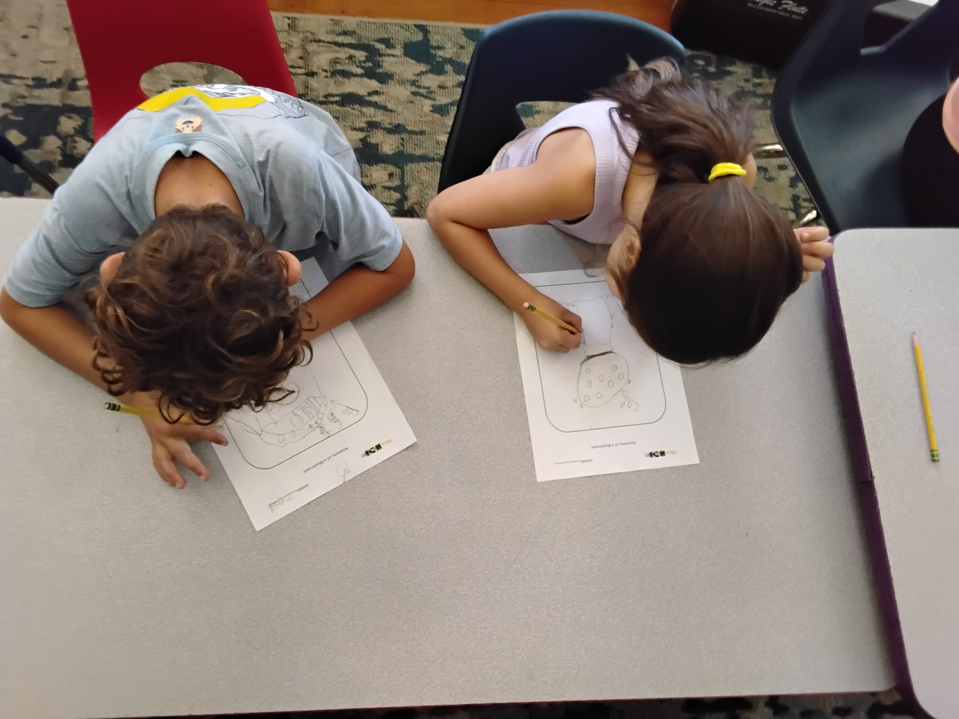 Pegs in inquiry